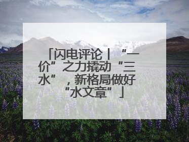 闪电评论丨“一价”之力撬动“三水”，新格局做好“水文章”