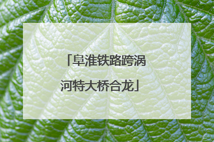阜淮铁路跨涡河特大桥合龙