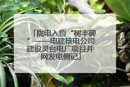 陇电入鲁“树丰碑”——电建核电公司建设灵台电厂项目并网发电侧记