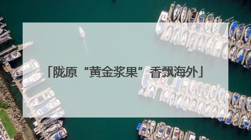 陇原“黄金浆果”香飘海外