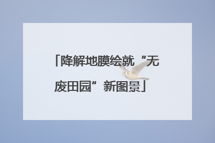 降解地膜绘就“无废田园”新图景