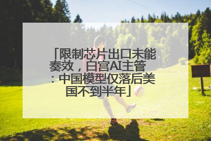 限制芯片出口未能奏效，白宫AI主管：中国模型仅落后美国不到半年