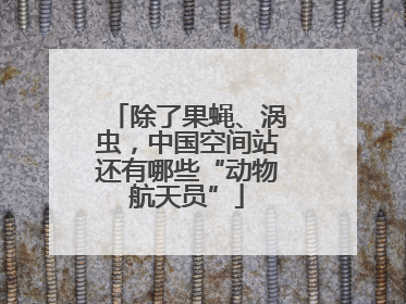 除了果蝇、涡虫，中国空间站还有哪些“动物航天员”