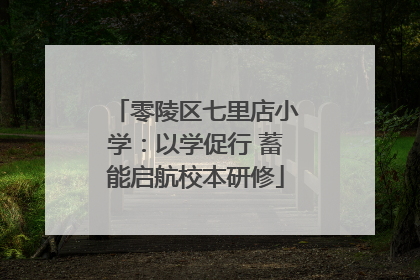 零陵区七里店小学：以学促行 蓄能启航校本研修