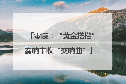 零陵：“黄金搭档”奏响丰收“交响曲”
