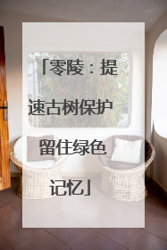 零陵：提速古树保护 留住绿色记忆