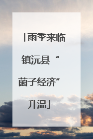 雨季来临 镇沅县“菌子经济”升温