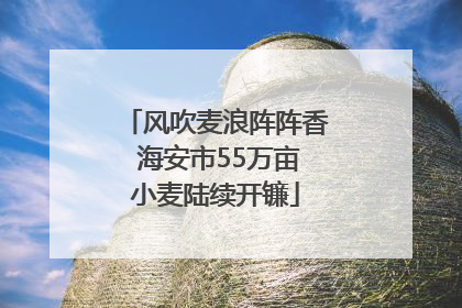 风吹麦浪阵阵香 海安市55万亩小麦陆续开镰