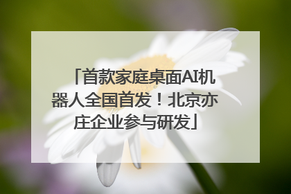 首款家庭桌面AI机器人全国首发！北京亦庄企业参与研发