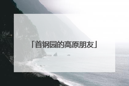 首钢园的高原朋友