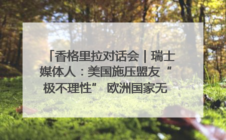 香格里拉对话会｜瑞士媒体人：美国施压盟友“极不理性” 欧洲国家无意与中国“脱钩断链”
