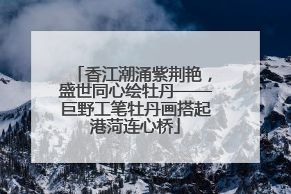香江潮涌紫荆艳，盛世同心绘牡丹——巨野工笔牡丹画搭起港菏连心桥