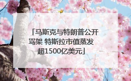 马斯克与特朗普公开骂架 特斯拉市值蒸发超1500亿美元