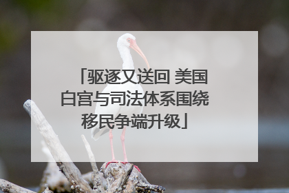 驱逐又送回 美国白宫与司法体系围绕移民争端升级