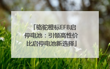 骆驼橙标EFB启停电池：引领高性价比启停电池新选择
