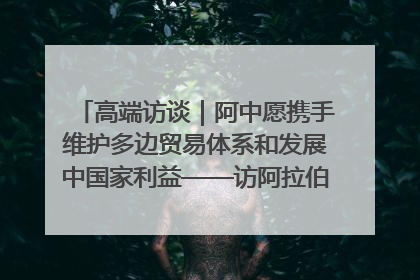 高端访谈｜阿中愿携手维护多边贸易体系和发展中国家利益——访阿拉伯议会议长亚马希