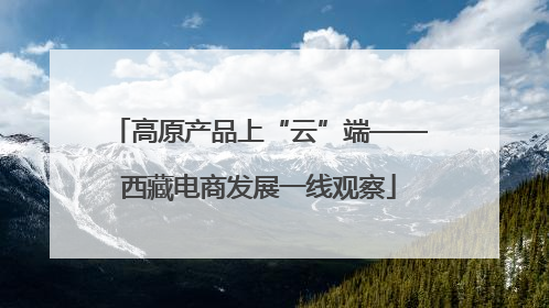 高原产品上“云”端——西藏电商发展一线观察