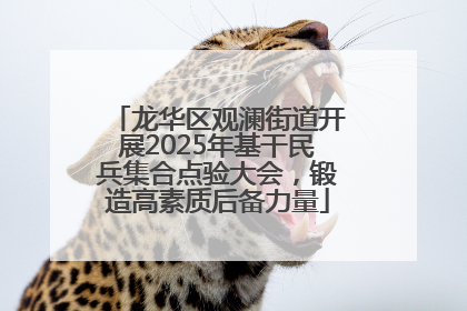 龙华区观澜街道开展2025年基干民兵集合点验大会，锻造高素质后备力量