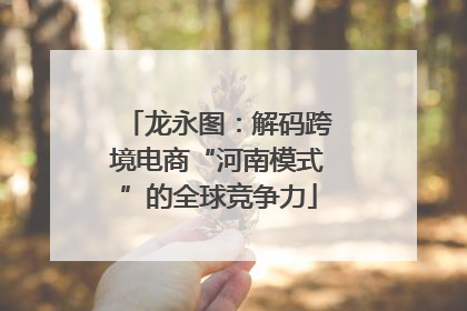 龙永图：解码跨境电商“河南模式”的全球竞争力