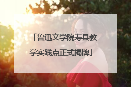鲁迅文学院寿县教学实践点正式揭牌