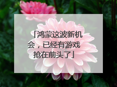 鸿蒙这波新机会，已经有游戏抢在前头了