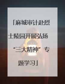 麻城审计赴烈士陵园开展弘扬“三大精神”专题学习