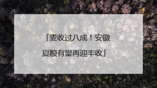 麦收过八成!安徽夏粮有望再迎丰收