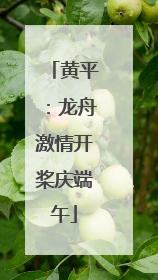 黄平：龙舟激情开桨庆端午