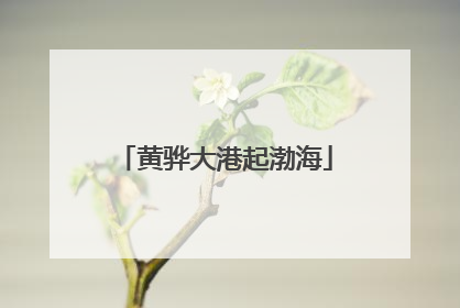 黄骅大港起渤海