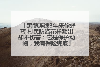 黑熊连续3年来偷蜂蜜 村民防盗花样频出却不伤害：它是保护动物，我有保险兜底