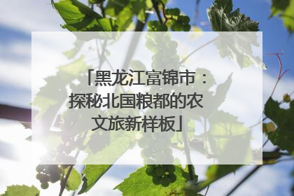黑龙江富锦市：探秘北国粮都的农文旅新样板