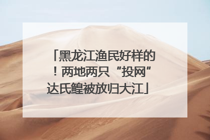 黑龙江渔民好样的！两地两只“投网”达氏鳇被放归大江