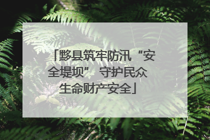 黟县筑牢防汛“安全堤坝” 守护民众生命财产安全
