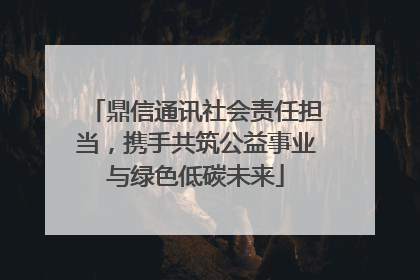 鼎信通讯社会责任担当，携手共筑公益事业与绿色低碳未来