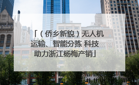 （侨乡新貌）无人机运输、智能分拣 科技助力浙江杨梅产销