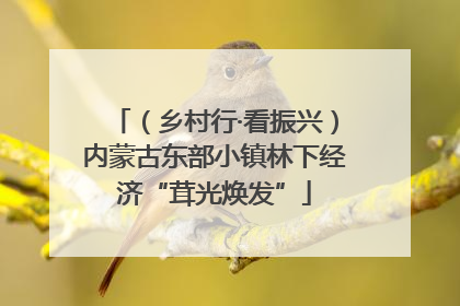 （乡村行·看振兴）内蒙古东部小镇林下经济“茸光焕发”