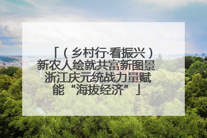 （乡村行·看振兴）新农人绘就共富新图景 浙江庆元统战力量赋能“海拔经济”