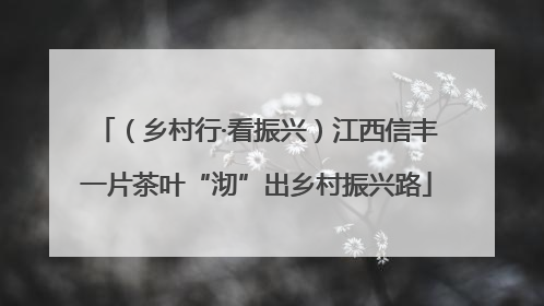 （乡村行·看振兴）江西信丰一片茶叶“沏”出乡村振兴路