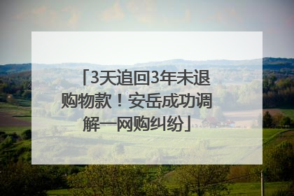 3天追回3年未退购物款！安岳成功调解一网购纠纷