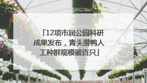 12项市属公园科研成果发布，青头潜鸭人工种群规模破百只