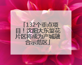132个重点项目！沈阳大东望花片区将成为产城融合示范区