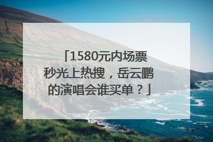 1580元内场票秒光上热搜，岳云鹏的演唱会谁买单？