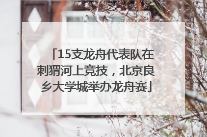 15支龙舟代表队在刺猬河上竞技，北京良乡大学城举办龙舟赛
