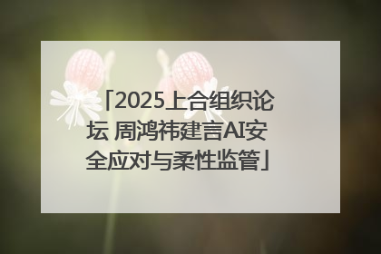 2025上合组织论坛 周鸿祎建言AI安全应对与柔性监管