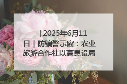 2025年6月11日｜防骗警示窗：农业旅游合作社以高息设局，集资380万
