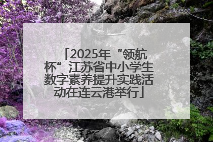 2025年“领航杯”江苏省中小学生数字素养提升实践活动在连云港举行