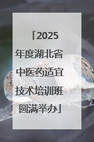 2025年度湖北省中医药适宜技术培训班圆满举办