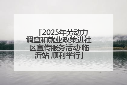 2025年劳动力调查和就业政策进社区宣传服务活动·临沂站 顺利举行