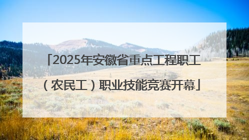 2025年安徽省重点工程职工（农民工）职业技能竞赛开幕