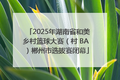 2025年湖南省和美乡村篮球大赛（村 BA）郴州市选拔赛闭幕